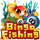 Spin Time Bingo Fishing