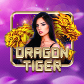 Dragon Tiger Spin Time